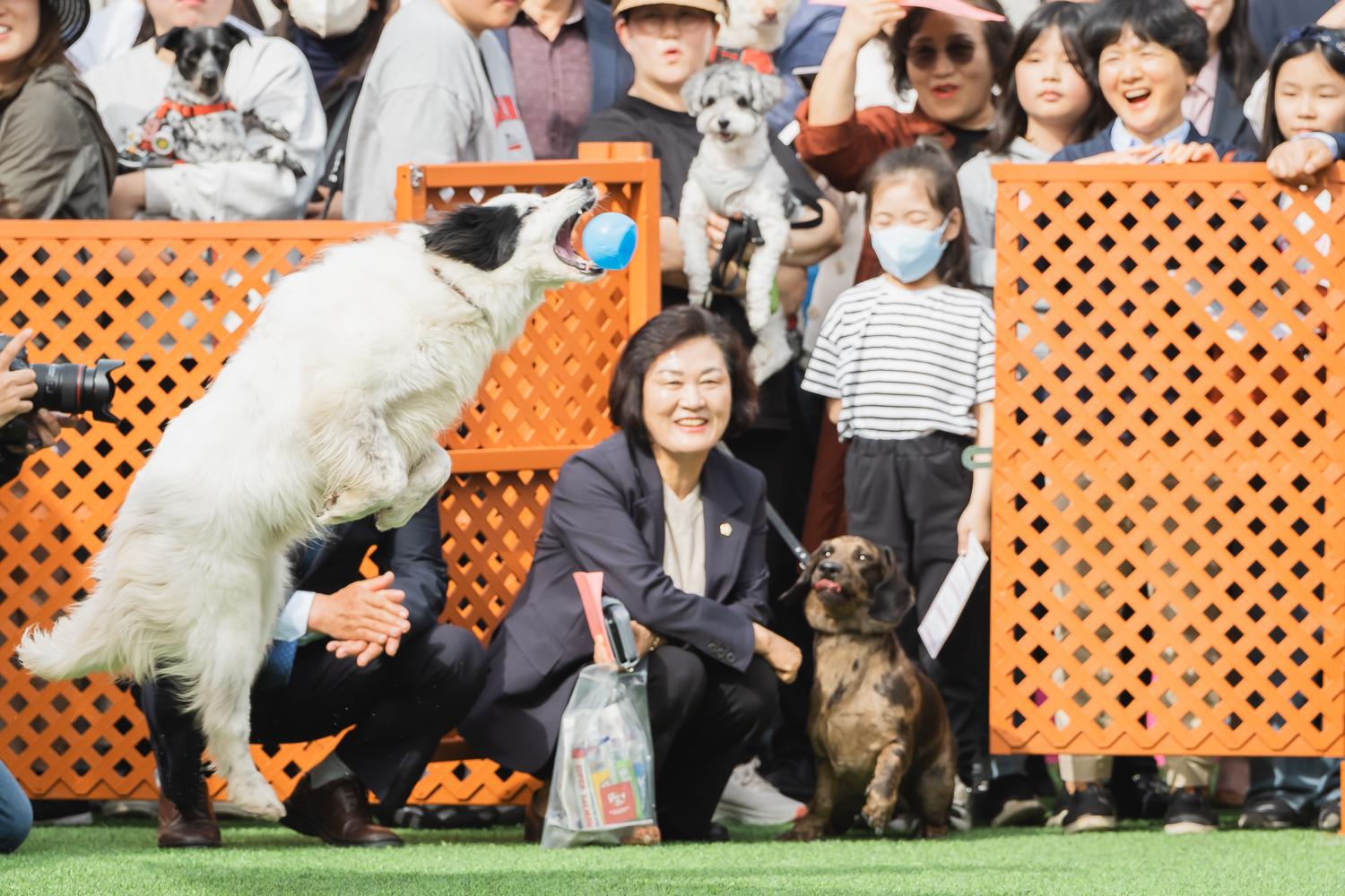 서대문 내품애(愛)센터 개소식 85