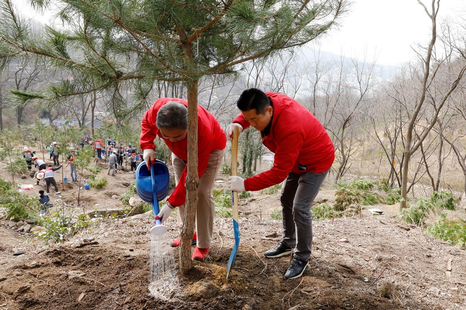 제79회 식목일기념 나무심기 행사 15