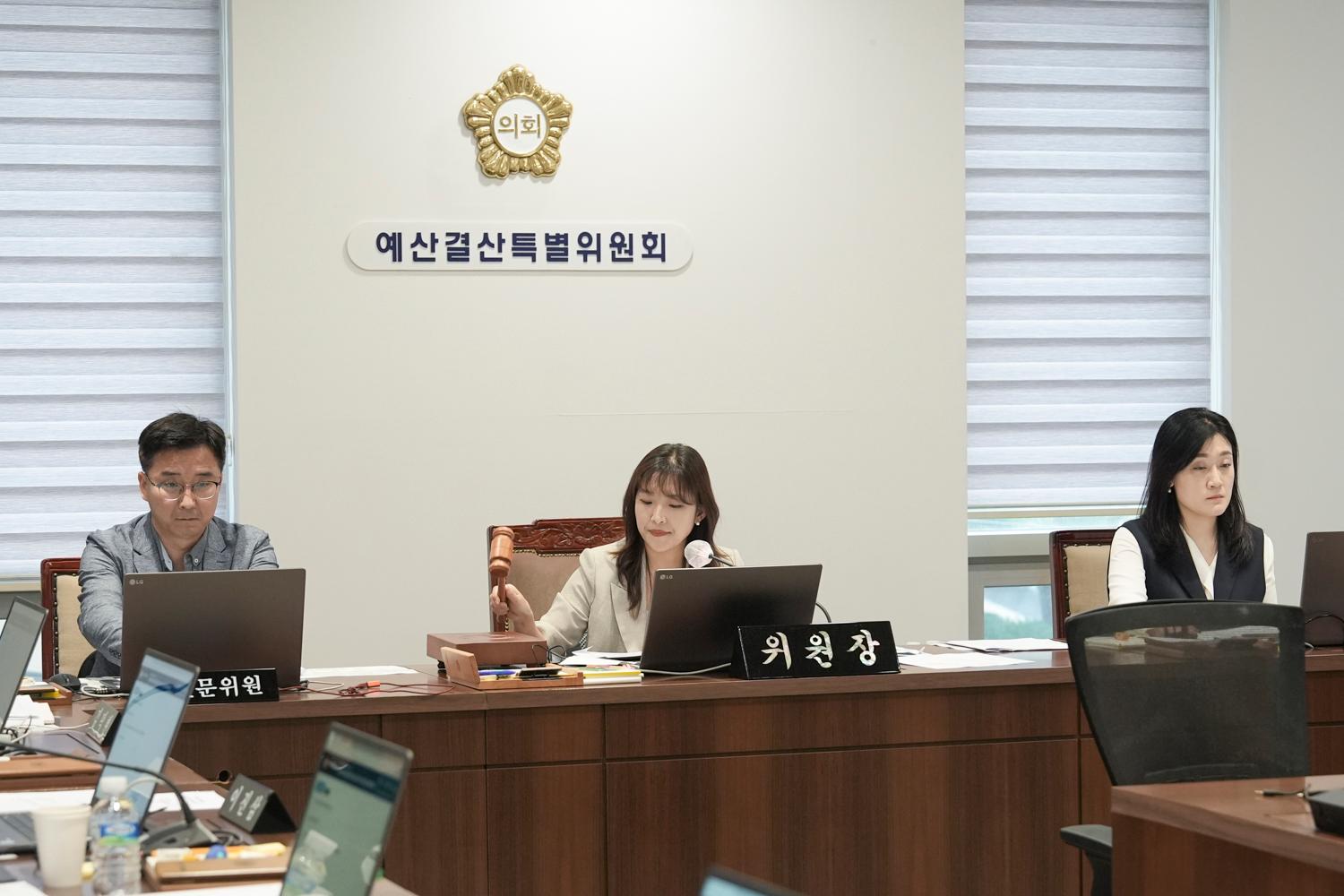 [1,2차 예산결산특별위원회] 제309회 서대문구의회 임시회 17