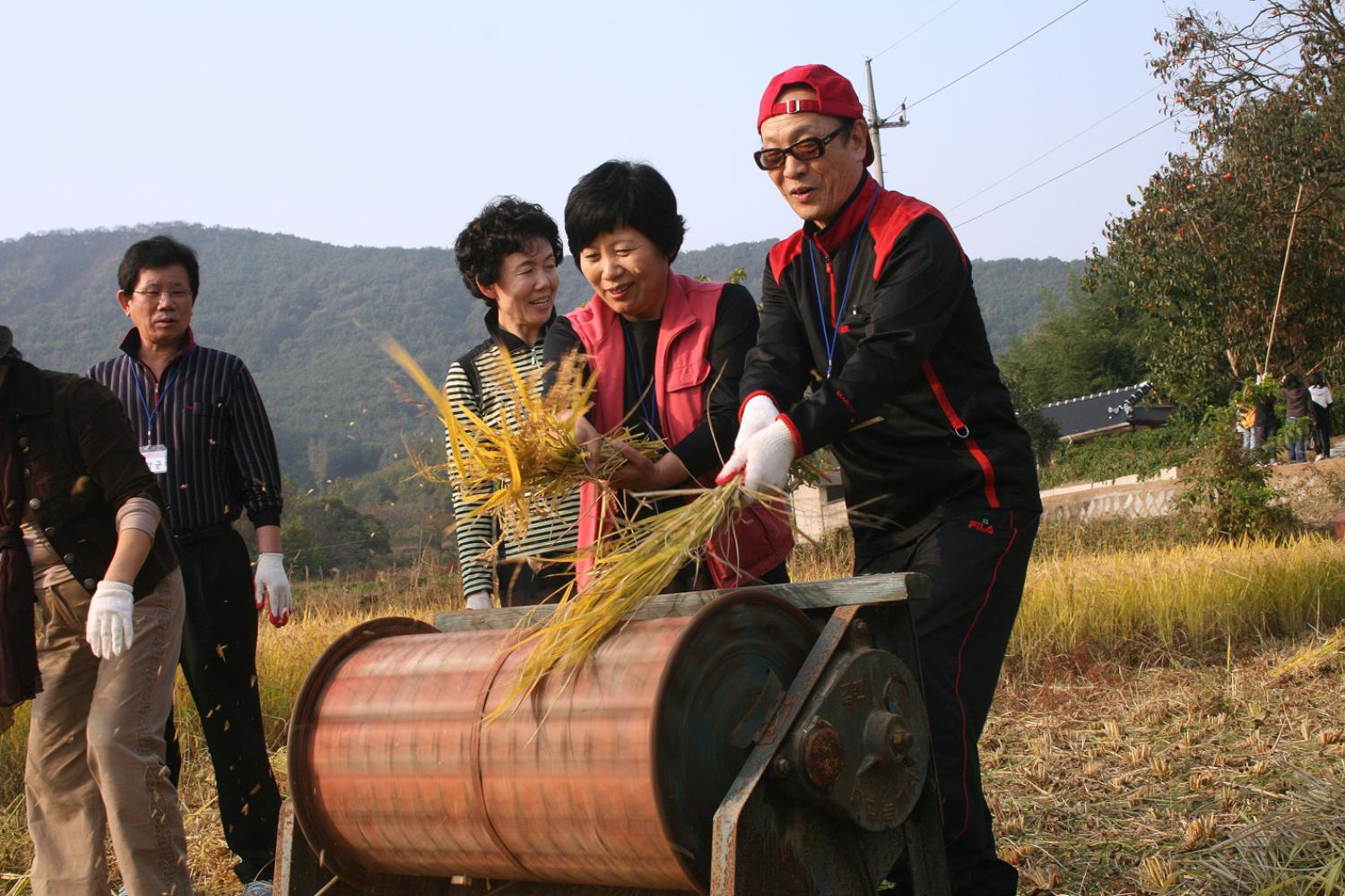 서대문구청 친환경학교급식 가을걷이 체험행사 참여(전북 완주)