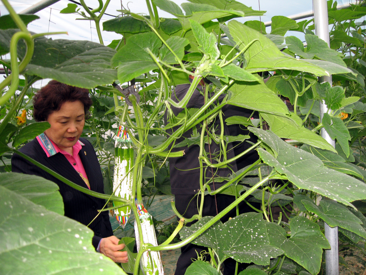 교육경비보조특별위원회 위원으로 활동 1